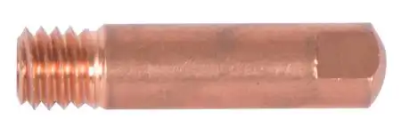 1EW181.jpg