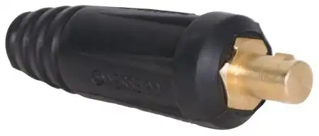 1EW281.jpg