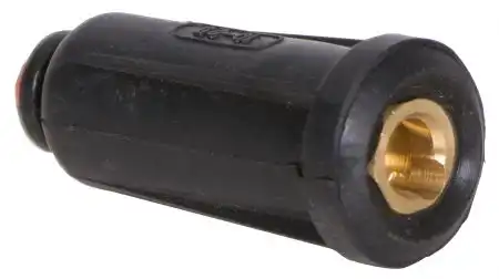 1EW283.jpg