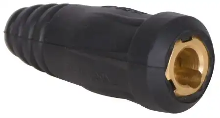1EW285.jpg