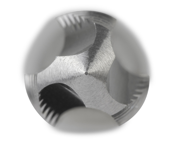 3166_punta_web.jpg
