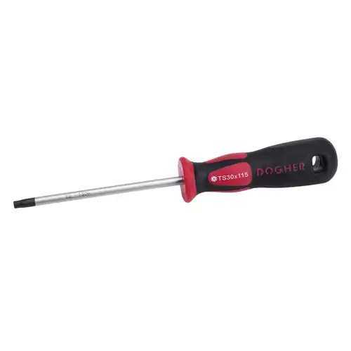 TOURNEVIS PROFES. TORX SÉCUR. TS10X80