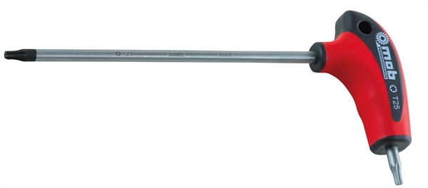 CLE MALE TORX EN T S2