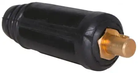 1EW280.jpg