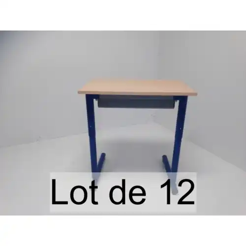 Lot de 12 - TABLE  AGEC - Hauteur : T3T6