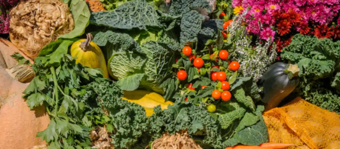 ALIMENTATION