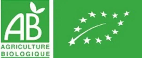 AB_Europe.webp