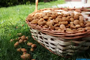 Amande-Bio-France-panier.jpg
