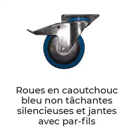 chariots-et-servantes-WP30-4.jpg