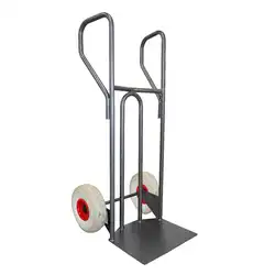 DVPF1-RINC