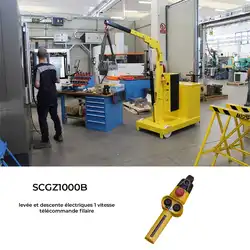 Grue d'atelier porte-à-faux à mât fixe et traction manuelle 1T