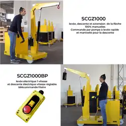 Grue d'atelier porte-à-faux à mât fixe et traction manuelle 1T