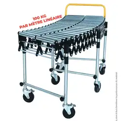 Steel roller conveyor 100 kg per LM