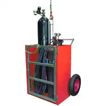 Cylinder hand truck with lifting hoist